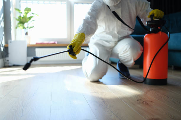 Reliable Hoarding Cleanup contractor in Annandale, VA by Trauma Clean Pros